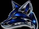 StrykeFox Medical fox emblem